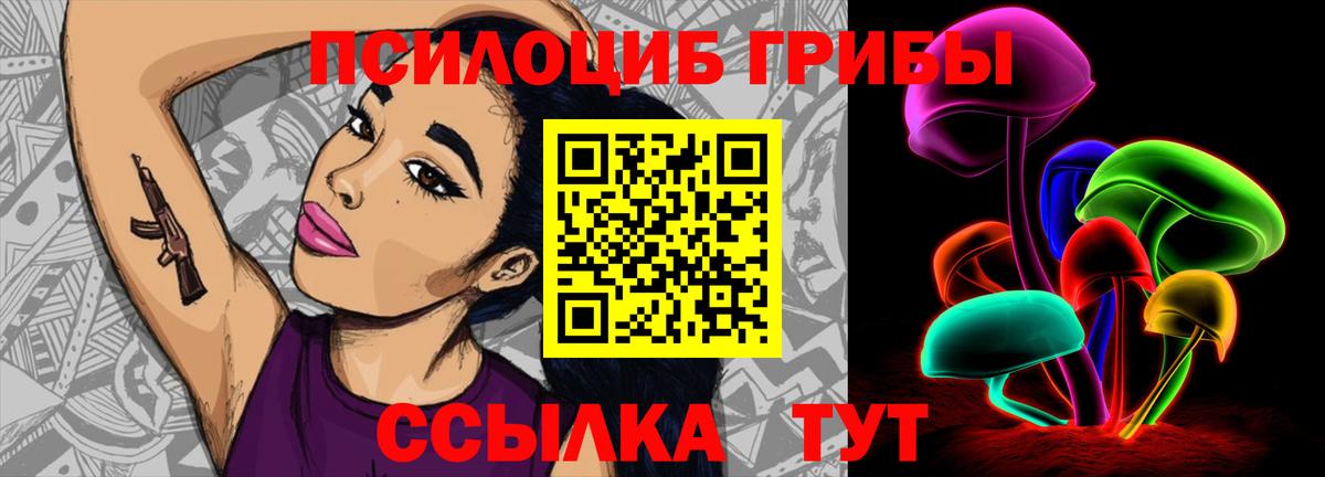 Псилоцибиновые грибы Psilocybe Кумертау